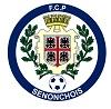 Senonches logo